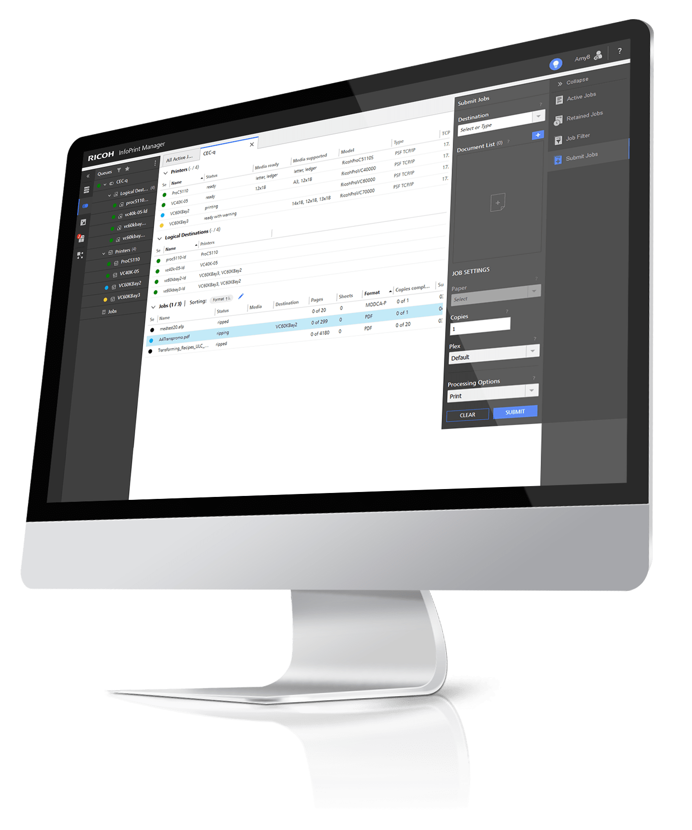 Desktop screen showing Ricoh InfoPrint Manager printing management portal
