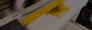 Vibrant printout of a sunflower coming out of an industry printer in motion